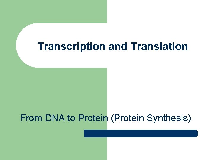 Transcription and Translation From DNA to Protein (Protein Synthesis) 