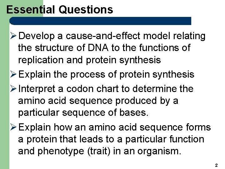 Essential Questions Ø Develop a cause-and-effect model relating the structure of DNA to the