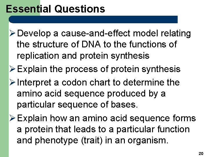 Essential Questions Ø Develop a cause-and-effect model relating the structure of DNA to the