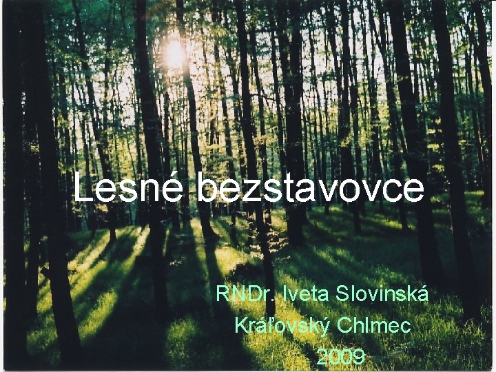 Lesné bezstavovce RNDr. Iveta Slovinská Kráľovský Chlmec 2009 