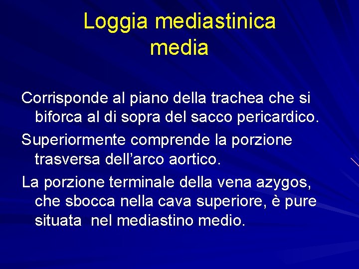 Loggia mediastinica media Corrisponde al piano della trachea che si biforca al di sopra