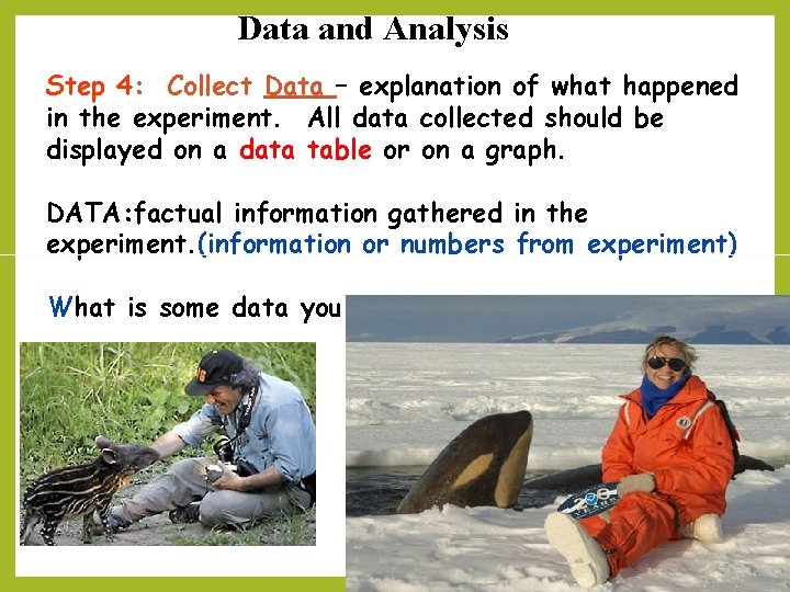 Data and Analysis Step 4: Collect Data – explanation of what happened in the