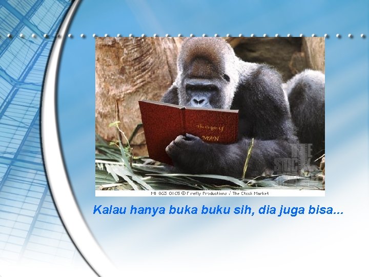 Kalau hanya buku sih, dia juga bisa… 