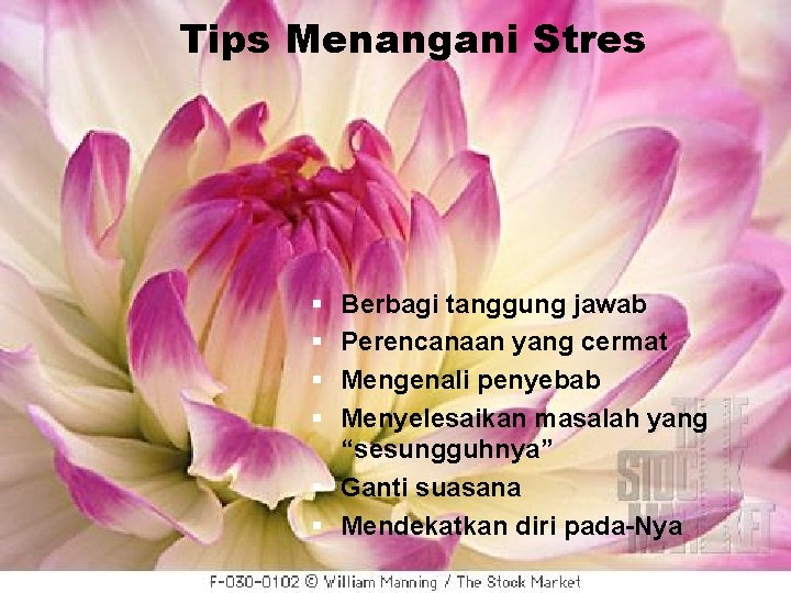 Tips Menangani Stres § § Berbagi tanggung jawab Perencanaan yang cermat Mengenali penyebab Menyelesaikan