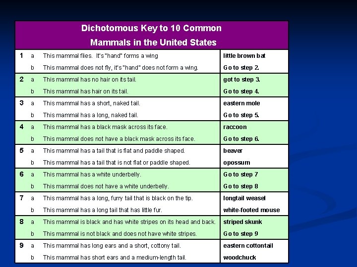 Dichotomous Key to 10 Common Mammals in the United States 1 2 3 4