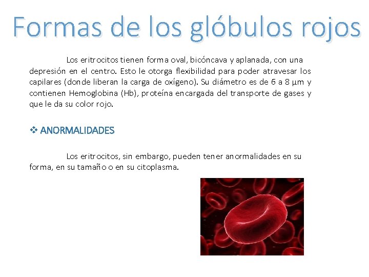Sistema circulatorio y aparato excretor ndice 1 Introduccin