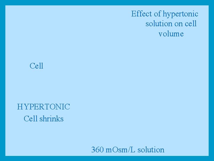 Effect of hypertonic solution on cell volume Cell HYPERTONIC Cell shrinks 360 m. Osm/L