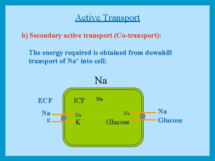 Active Transport b) Secondary active transport (Co-transport): The energy required is obtained from downhill