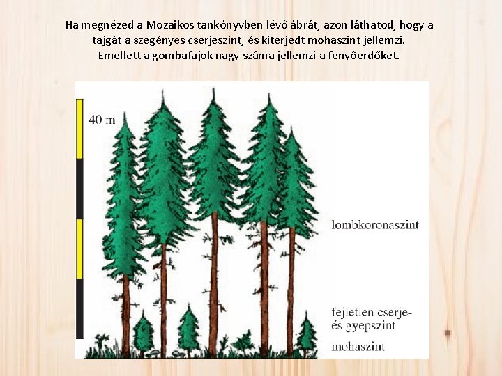 Ha megnézed a Mozaikos tankönyvben lévő ábrát, azon láthatod, hogy a tajgát a szegényes