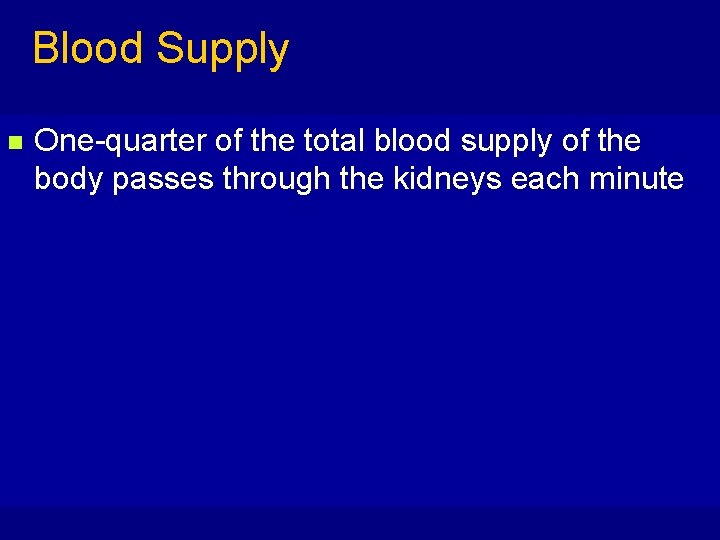 Blood Supply n One-quarter of the total blood supply of the body passes through