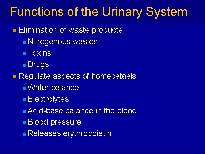 Functions of the Urinary System n n Elimination of waste products n Nitrogenous wastes