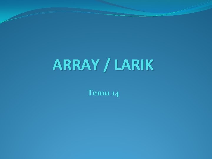 ARRAY / LARIK Temu 14 