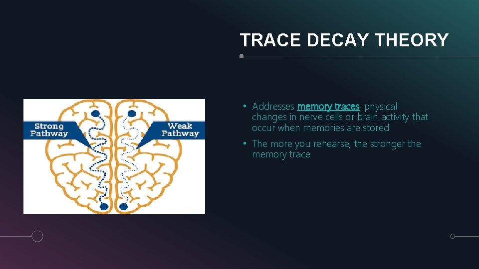 TRACE DECAY THEORY • Addresses memory traces: physical changes in nerve cells or brain