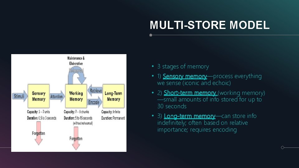 MULTI-STORE MODEL • 3 stages of memory • 1) Sensory memory—process everything we sense