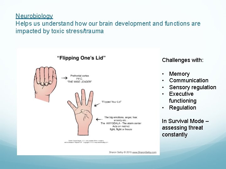 Neurobiology Helps us understand how our brain development and functions are impacted by toxic