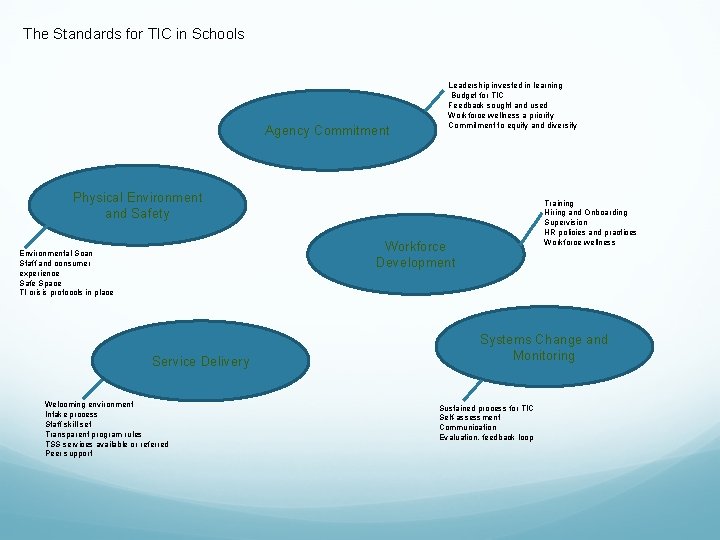 The Standards for TIC in Schools Agency Commitment Leadership invested in learning Budget for