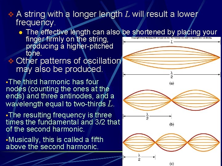 v A string with a longer length L will result a lower frequency. l