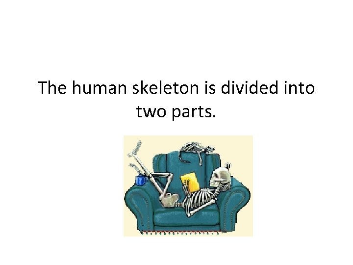 The human skeleton is divided into two parts. The human skeleton is divided into two parts.