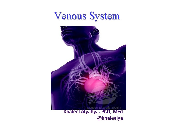 Venous System Khaleel Alyahya, Ph. D, MEd @khaleelya 