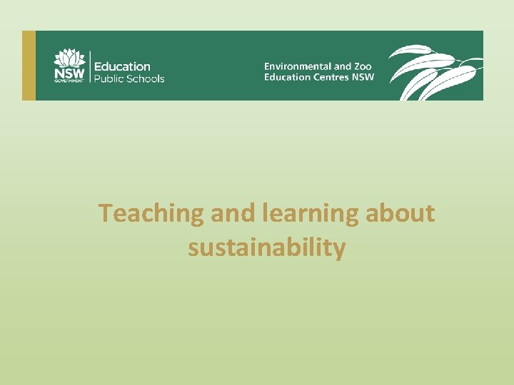 Teaching and learning about sustainability 
