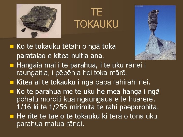 TE TOKAUKU Ko te tokauku tētahi o ngā toka parataiao e kitea nuitia ana.