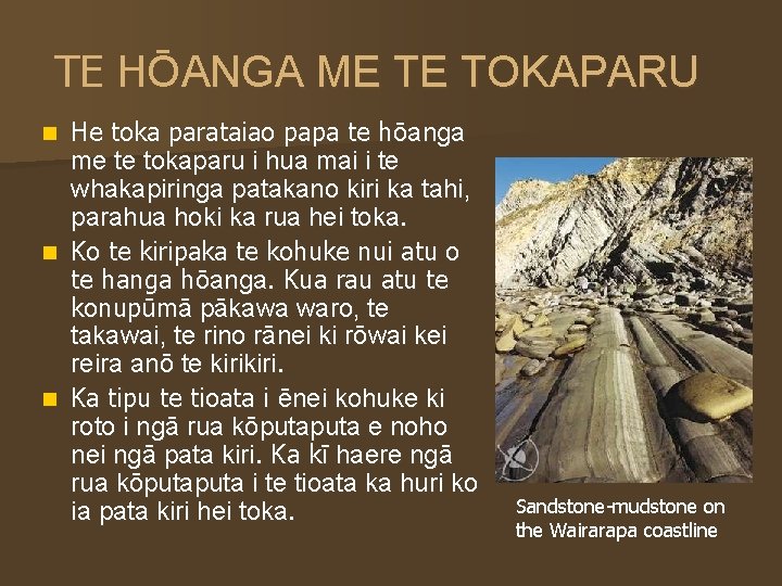 TE HŌANGA ME TE TOKAPARU He toka parataiao papa te hōanga me te tokaparu