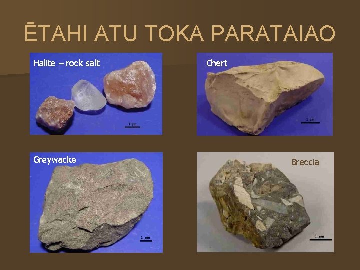 ĒTAHI ATU TOKA PARATAIAO Halite – rock salt Greywacke Chert Breccia 