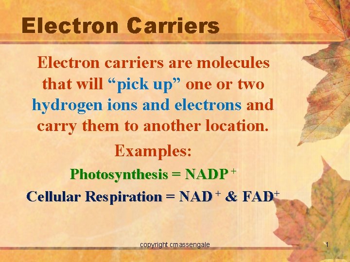 Electron Carriers Electron carriers are molecules that will “pick up” one or two hydrogen