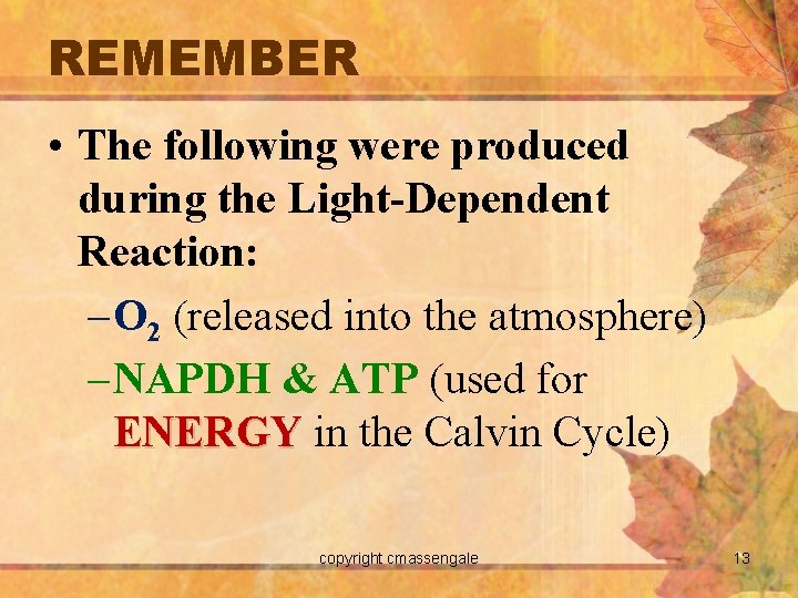 REMEMBER • The following were produced during the Light-Dependent Reaction: – O 2 (released