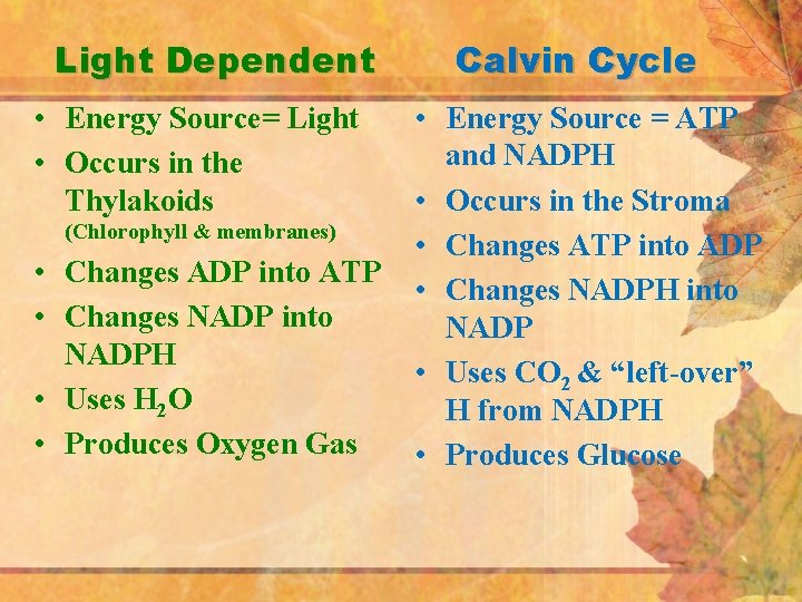 Light Dependent • Energy Source= Light • Occurs in the Thylakoids (Chlorophyll & membranes)