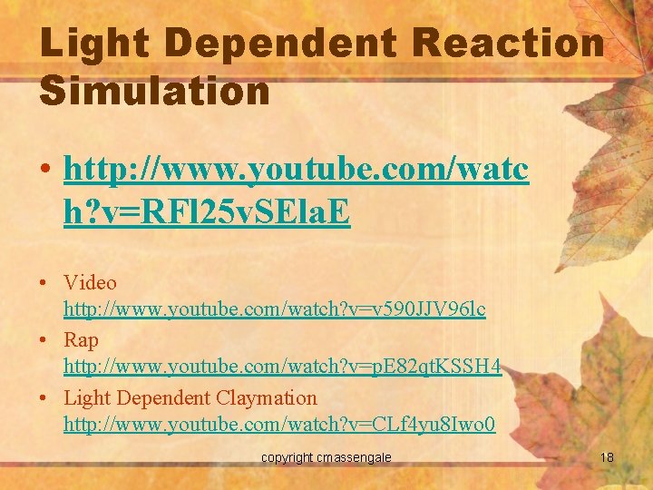 Light Dependent Reaction Simulation • http: //www. youtube. com/watc h? v=RFl 25 v. SEla.