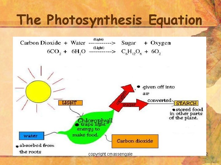 The Photosynthesis Equation copyright cmassengale 2 