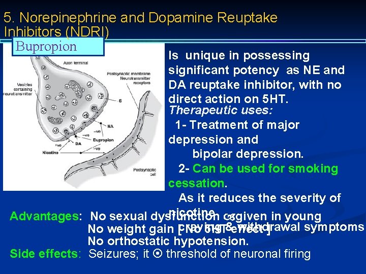 5. Norepinephrine and Dopamine Reuptake Inhibitors (NDRI) Bupropion Is unique in possessing significant potency