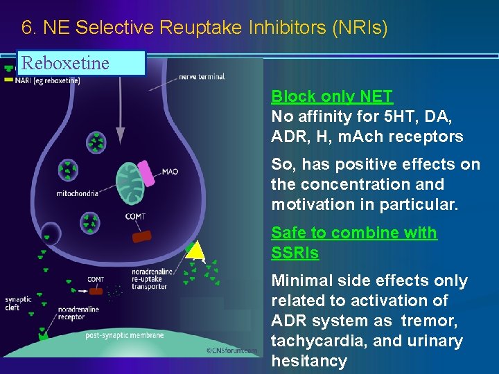 6. NE Selective Reuptake Inhibitors (NRIs) Reboxetine Block only NET No affinity for 5