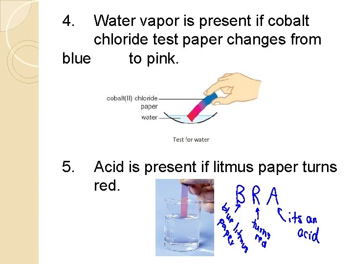 4. Water vapor is present if cobalt chloride test paper changes from blue to