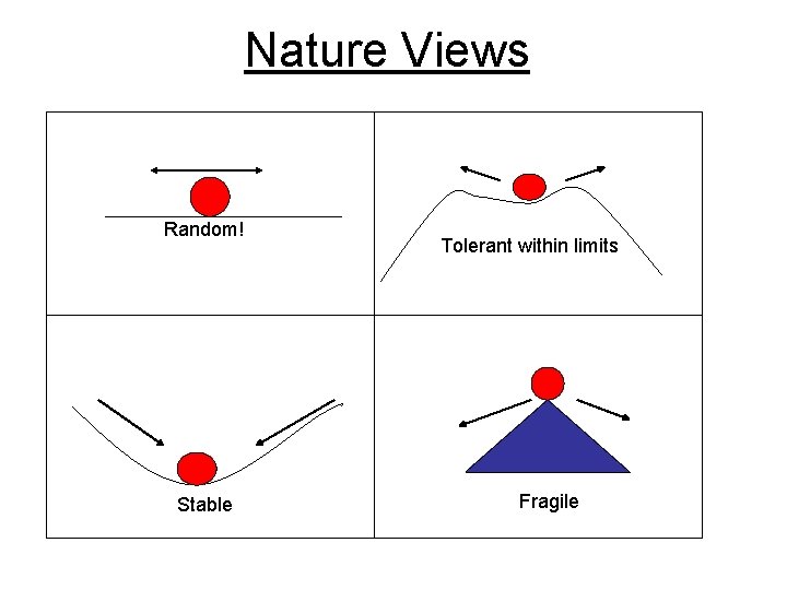 Nature Views Random! Stable Tolerant within limits Fragile 