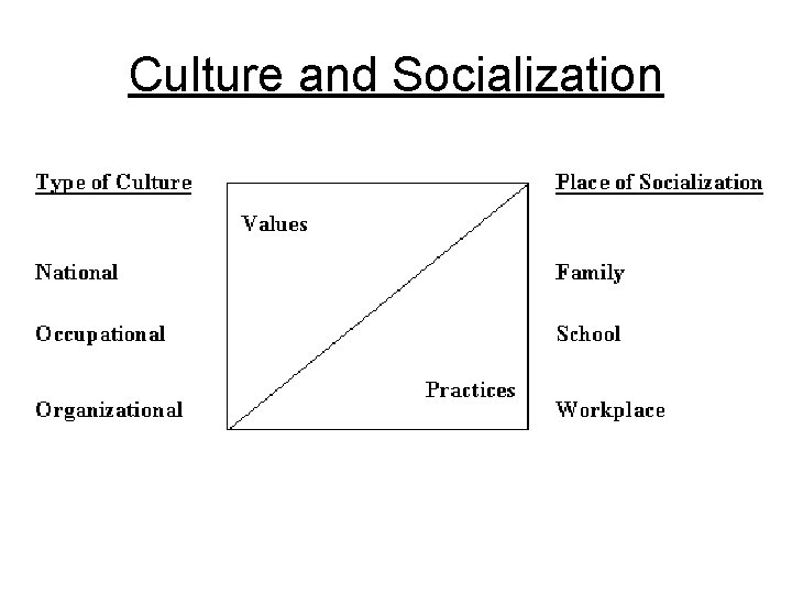 Culture and Socialization 