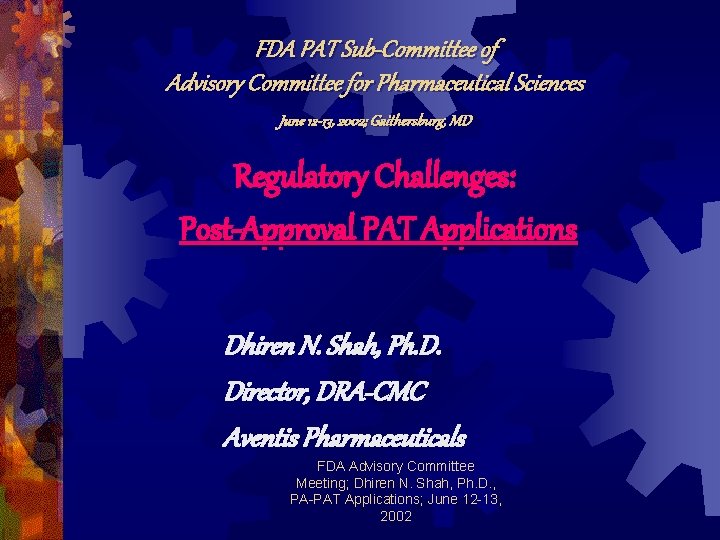 FDA PAT Sub-Committee of Advisory Committee for Pharmaceutical Sciences June 12 -13, 2002; Gaithersburg,
