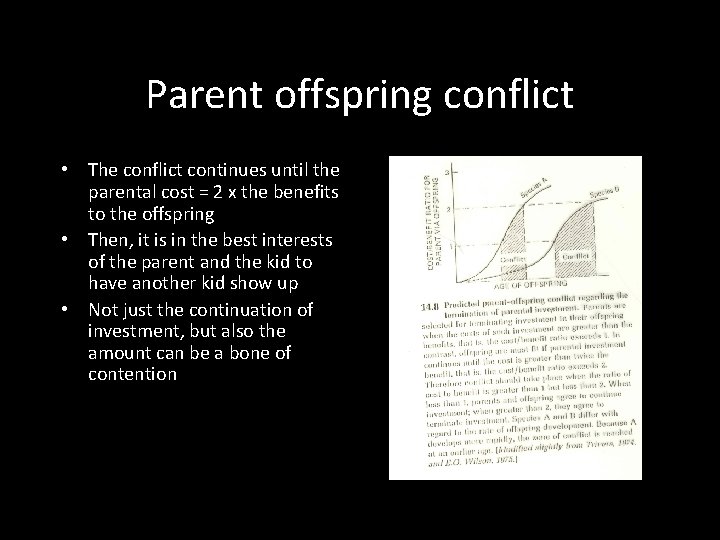 Parent offspring conflict • The conflict continues until the parental cost = 2 x