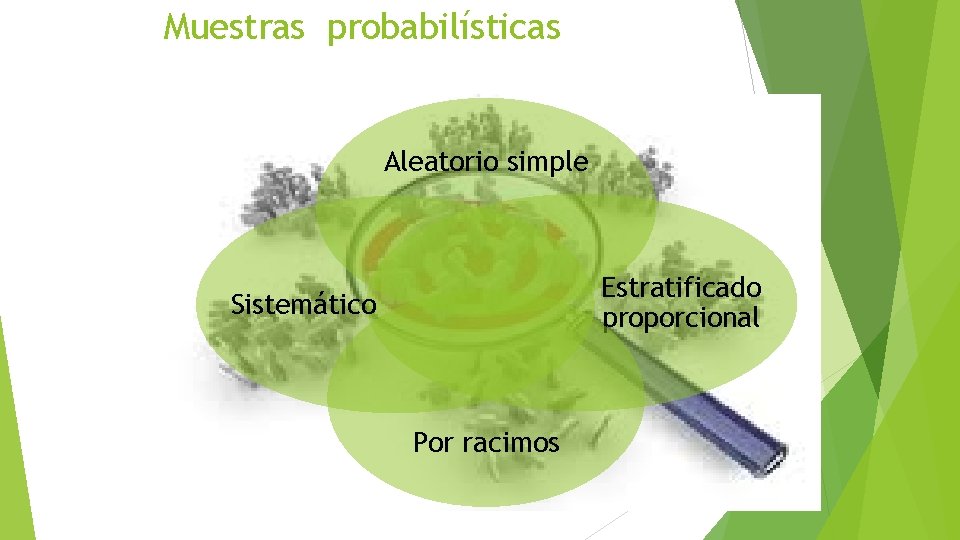 Muestras probabilísticas Aleatorio simple Estratificado proporcional Sistemático Por racimos 30 