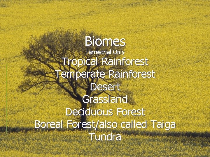 Biomes Terrestrial Only Tropical Rainforest Temperate Rainforest Desert Grassland Deciduous Forest Boreal Forest/also called