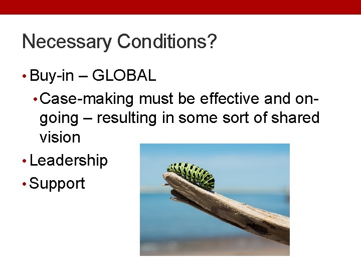 Necessary Conditions? • Buy-in – GLOBAL • Case-making must be effective and on- going