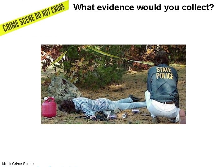 What evidence would you collect? Mock Crime Scene: 