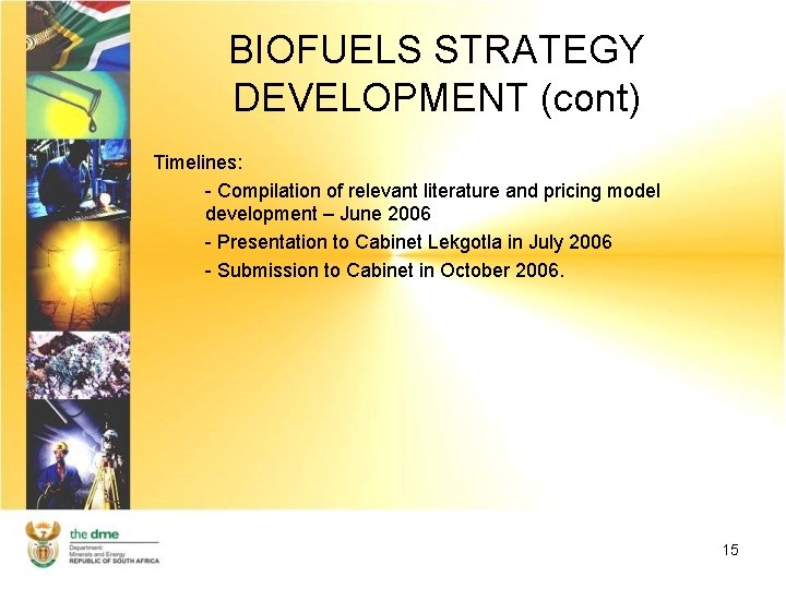 BIOFUELS STRATEGY DEVELOPMENT (cont) Timelines: - Compilation of relevant literature and pricing model development