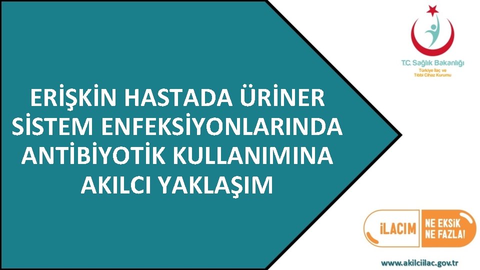 ERİŞKİN HASTADA ÜRİNER SİSTEM ENFEKSİYONLARINDA ANTİBİYOTİK KULLANIMINA AKILCI YAKLAŞIM 