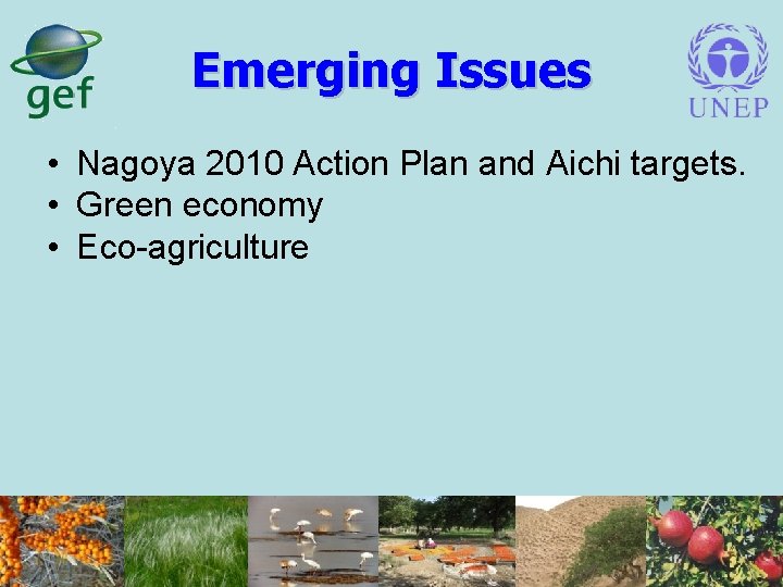 Emerging Issues • Nagoya 2010 Action Plan and Aichi targets. • Green economy •