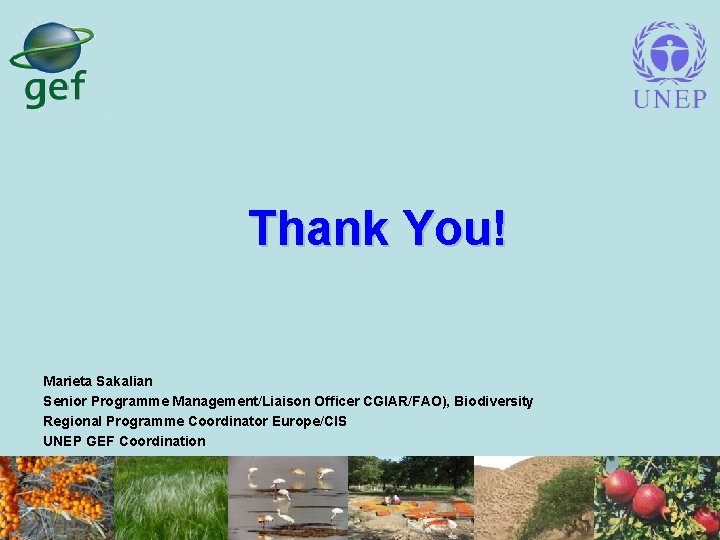 Thank You! Marieta Sakalian Senior Programme Management/Liaison Officer CGIAR/FAO), Biodiversity Regional Programme Coordinator Europe/CIS