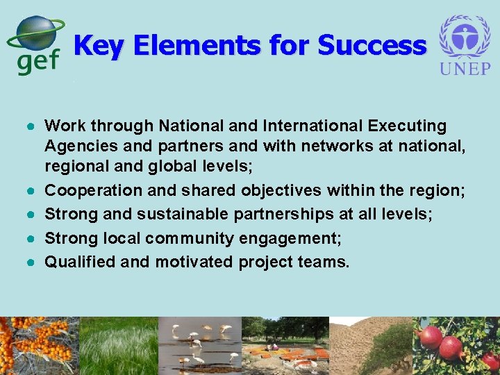 Key Elements for Success ● Work through National and International Executing Agencies and partners