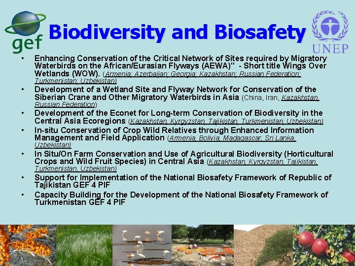 Biodiversity and Biosafety • Enhancing Conservation of the Critical Network of Sites required by