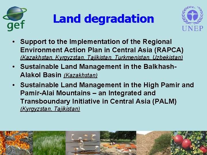 Land degradation • Support to the Implementation of the Regional Environment Action Plan in
